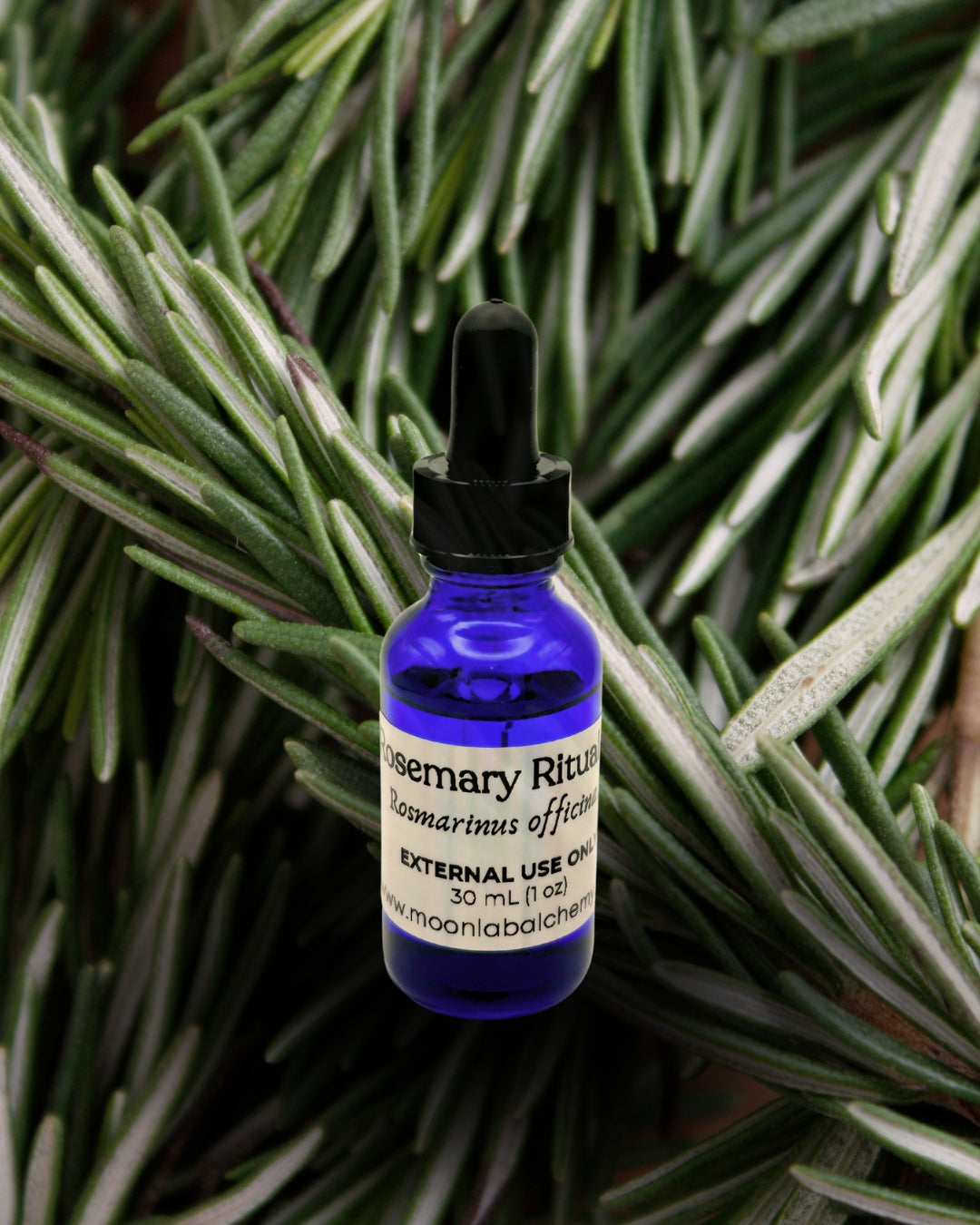 ROSEMARY RITUAL OIL | Aromatic Massage + Body Oil